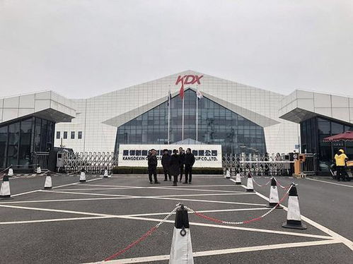 表情 資金危機(jī)下的康得新 賬上150億現(xiàn)金卻還不起15億債券 表情