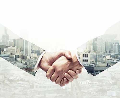 如何選擇投資管理平臺,應該注意什么